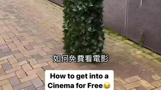 没人觉得会移动的绿植出现在电影院很奇怪
