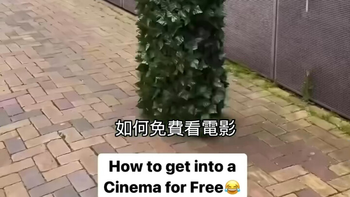 没人觉得会移动的绿植出现在电影院很奇怪