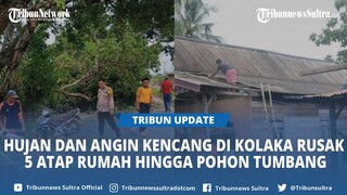 Hujan dan Angin Kencang di Kolaka Rusak 5 Atap Rumah Warga Hingga Pohon Tumbang, Sempat Tutupi Jalan