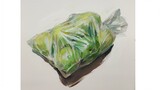 [Gouache Color] Draw a green apple in a plastic bag...