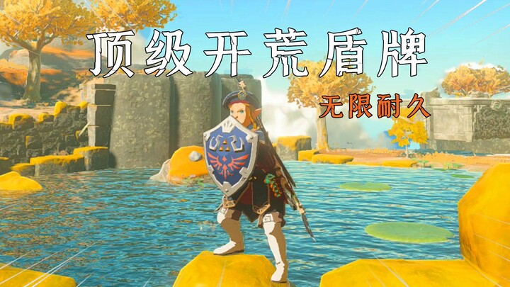 The Legend of Zelda: Tears of the Kingdom — Fear No Strong Enemy! Ultimate Hylian Shield Guide + Inf