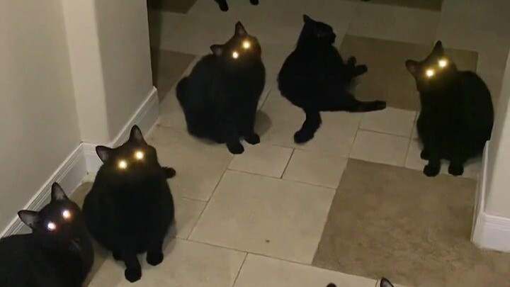 When you encounter these uninvited guests, do you know how to handle them?