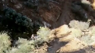 الهبوط بالحبال من منظور الشخص الأول