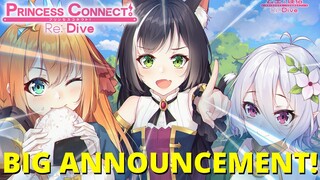 THE SLOWED DOWN PACE IS A MAJOR PROBLEM!!!!!!!! - & A Big Announcement - (Princess Connect! Re:Dive)