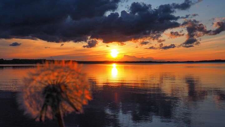 أتمنى أن تُقبِلَ على رحلةٍ أجمل بروحٍ جديدة.