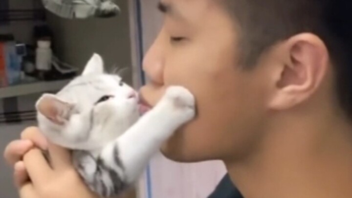 Mèo: Con không sạch nữa, đừng làm mẹ của con nữa!