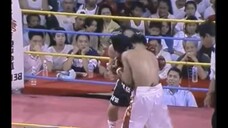 Manny "PACMAN" Pacquiao TKO Fights