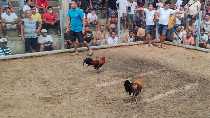 The Inbred Bruce Barnett Sweater