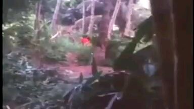 ทะลุฟ้ามาเกิด