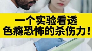 An experiment allows you to see the terrifying destructive power of sex addiction!