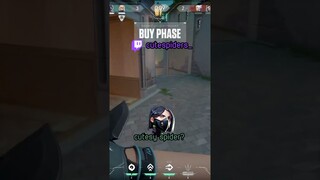 cutesy spider is crazy… twitch: cutespiders_ #valorant
