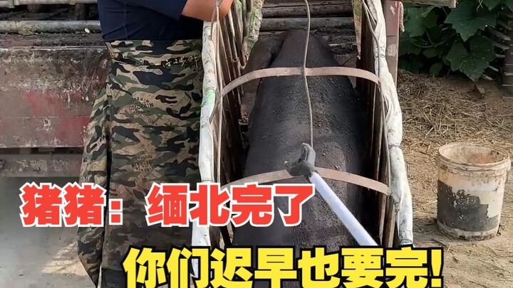 Chú Lợn: Miến Bắc xong đời rồi, các người sớm muộn cũng sẽ xong đời!