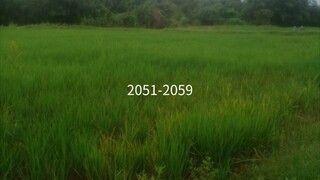 สร้างตี๋เล็กสุดเก่ง