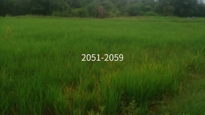 สร้างตี๋เล็กสุดเก่ง