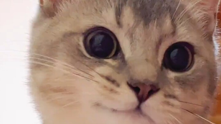 รอยยิ้มเสน่ห์ของพี่ชาย หนียังไงก็หนีไม่พ้นหรอก