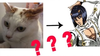 【JOJO】我居然把我家猫变成了布加拉提？