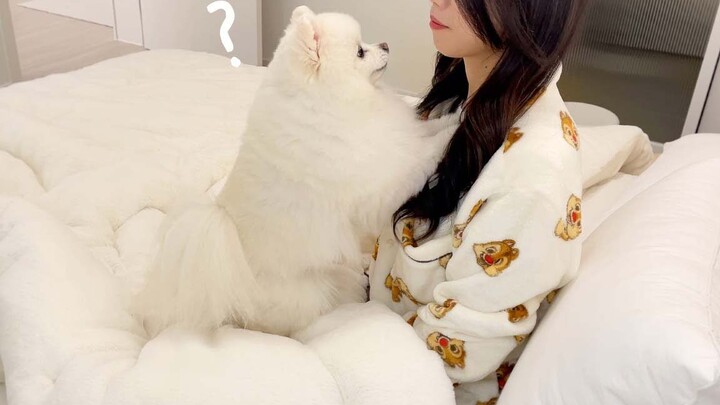 พอเรียกเจ้าหมาตัวแสบมาแล้วกลับถูกเมิน!?