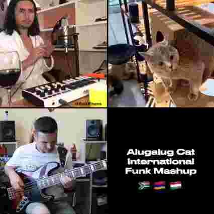 Catband