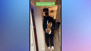 Cười ngả nghiêng #meme
