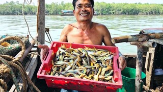 Đánh Bắt Cá ''NẤU BỮA CƠM'' Ngày Cuối Năm Trên Ghe | Ngư Dân Miền Tây