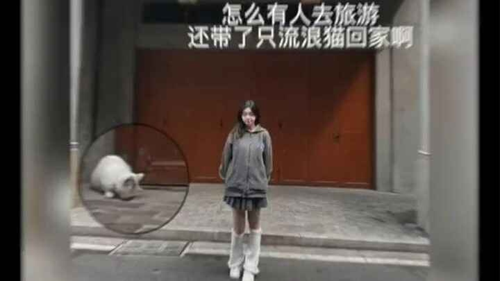 สาวสุดเพี้ยนไปเที่ยวแล้วดันพาแมวน้องใหม่เน็ตไอดอลท้องถิ่นหนีตามไปด้วย!