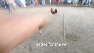 native on the run