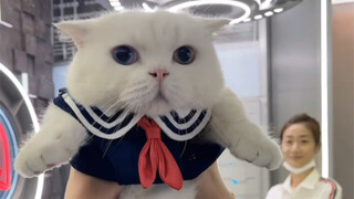 Ski went out for a shower and ended up winning over an incredibly sweet girl.