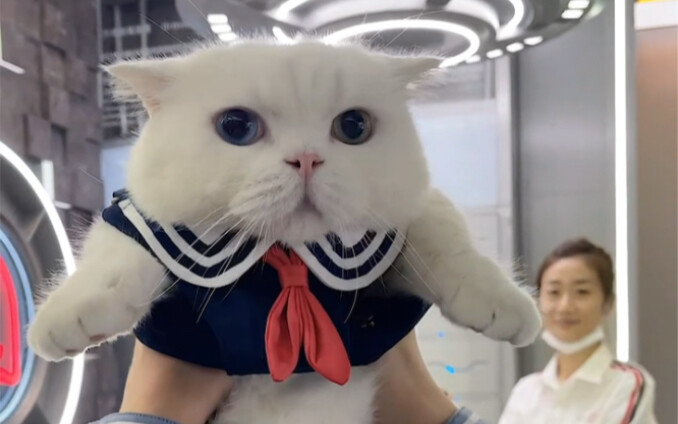 Ski đi tắm một cái liền chinh phục được một cô gái siêu dịu dàng