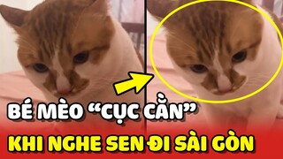 Mèo Đom - Thái độ CỤC CẰN khi nghe mẹ sắp đi Sài Gòn 😂 | Yêu Lu