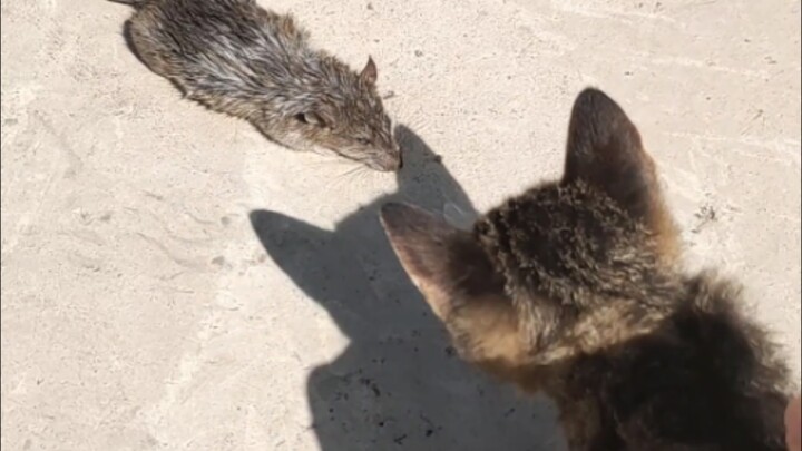 Ah, the kid’s all grown up!