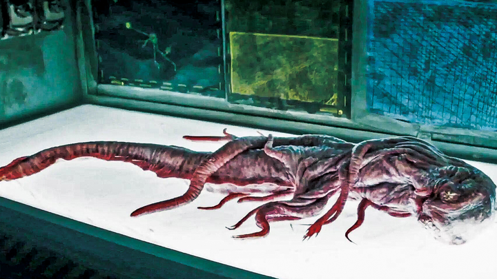 A new species unearthed from the seafloor has baffled biologists—could a catastrophe be on the horiz