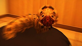 «شيء حقيقي طويل وأنيق للغاية»