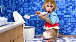 Monkey baby cleans the toilet and swims with the duckling & puppy So cute on the farm