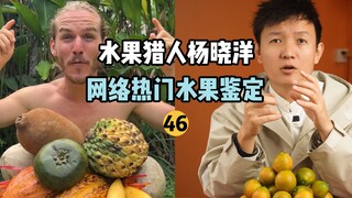 [Penemu Buah Hunter x Hunter] Identifikasi Buah Populer di Internet 46