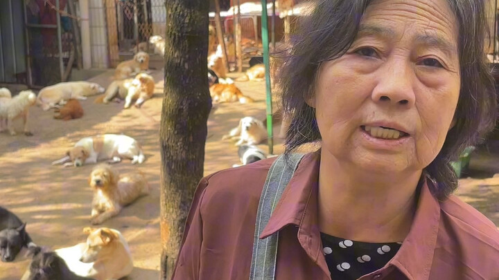 Thức ăn cho chó còn lại chẳng bao nhiêu, tự mình xoay xở thì quá khó, tôi cũng kiệt sức rồi #CứuTrợC