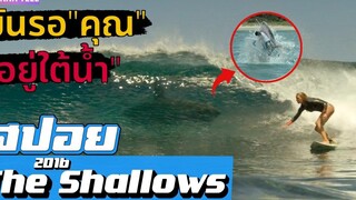 "มัน"มาพร้อมกับ"คลื่น" (สปอยหนัง) The Shallows 2016