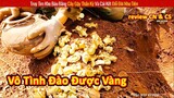 Thanh Niên Vô Tình Đào Được Chum Vàng Dưới Lòng Đất || Review Con Người Và Cuộc Sống