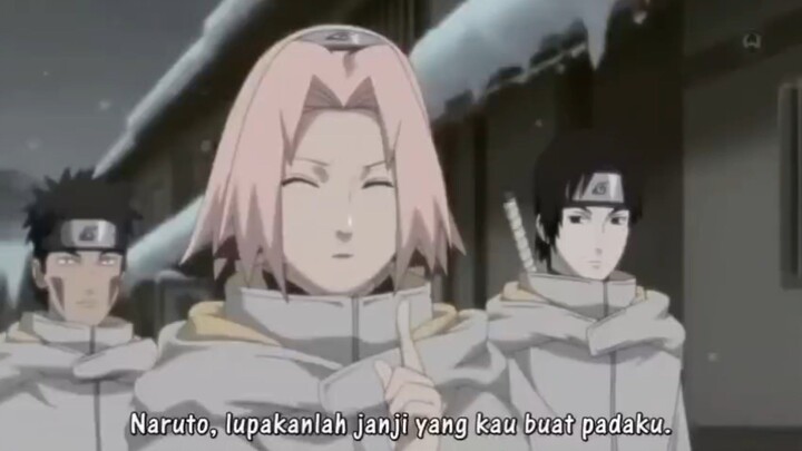 sakura dan teman temannya