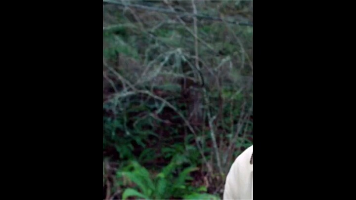 Con quái vật này bẩm sinh cơ thể lạnh, chỉ có thể sống bằng cách hút nhiệt từ người khác! “Grimm”