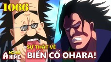 [Full OP 1066]. Dragon và Vegapunk là bạn chí cốt, Sự thật về biến cố Ohara!