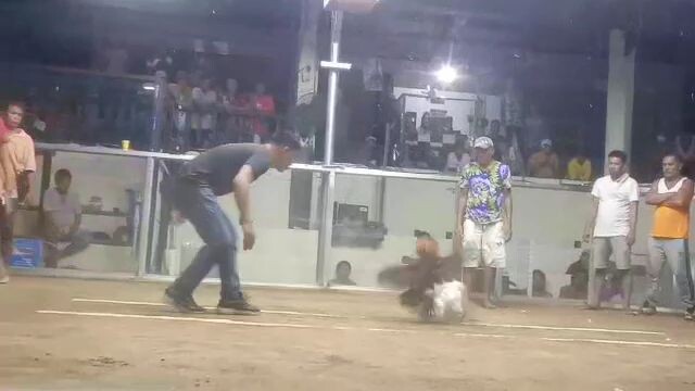 white Boston June Sevilla line