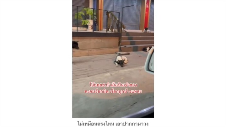 ไม่เหมือนตรงไหน เอาปากกามาวง