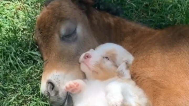 I really want to be as happy as they are!