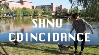 【上师大coincidance】该来的总归要来的！
