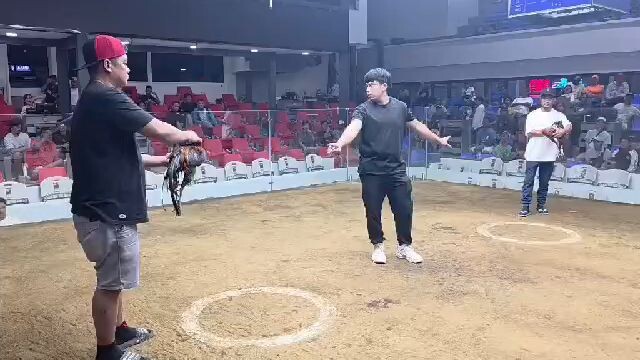 vs aej sen bong 3stag cav col