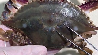 Crab Detailed Explanation