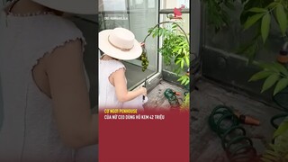Cơ ngơi penhouse của nữ CEO dùng hũ kem 42 triệu | TGT