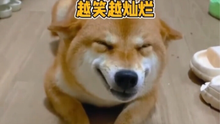 As long as you pout and act cute well, you’ll be spared any spanking or scolding… Hahaha!