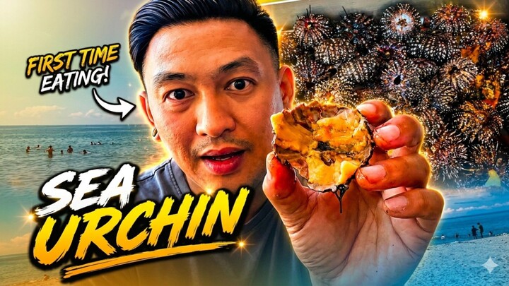 first time eating raw sea urchin