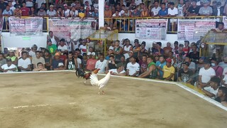 LOSE Digital White naputol tari pero PAG TALO AY TALO MOVE ON NALANG HEHEHE😁
